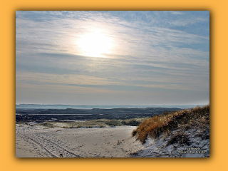 Am Strand von Nymindegab (5).jpg